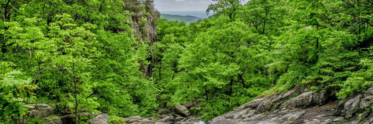 热门麻豆电影网-最新高清视频国语电影动漫免费在线观看-传媒官网入口推荐